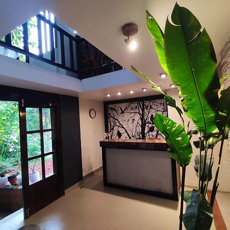 Naturalodge มาชูปิกชู ภายนอก รูปภาพ